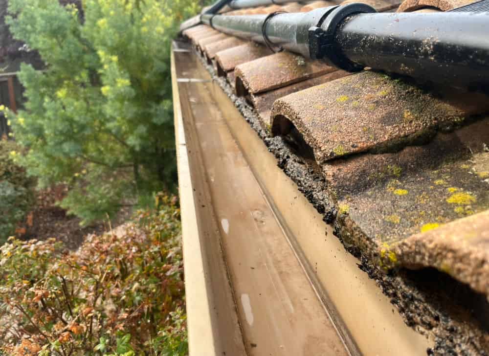 Gutter Cleaning image